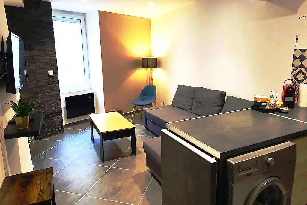 Millau Hypercentre Appartement Moderne Et Cosy France